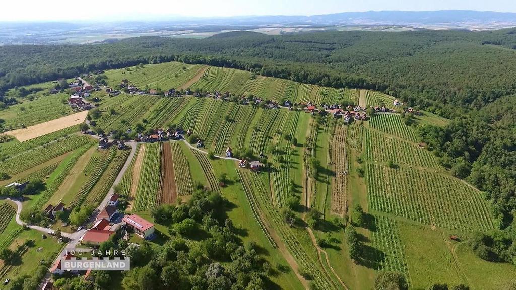 Príroda v okolí horskej chaty
