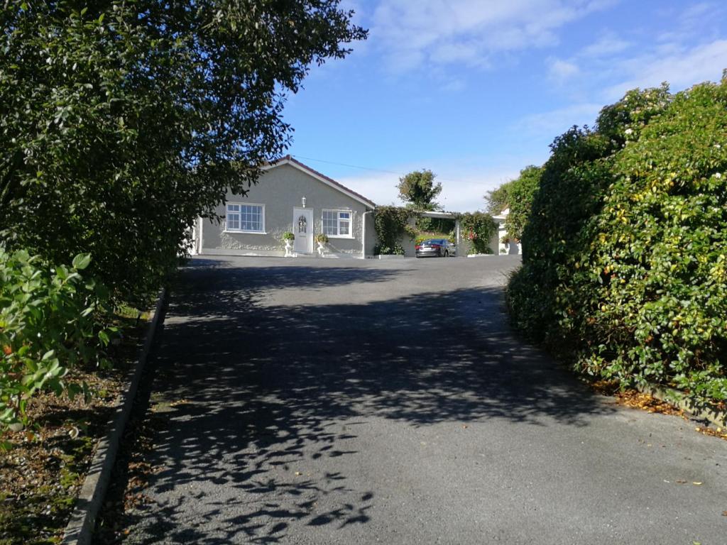 a driveway with a house and a tree at Tower View Lodge in Ennis