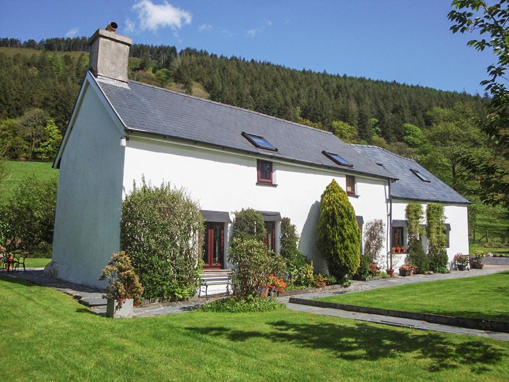 a small white house with a grass yard at Dafarn Newydd in Dinas Mawddwy