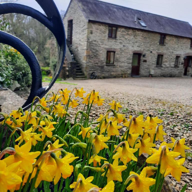 Troedyrhiw Holiday Cottages in Cardigan, Ceredigion, Wales