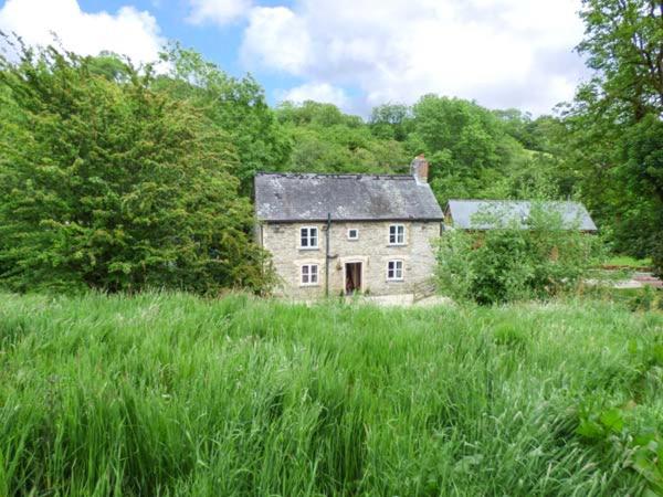 an old house in a field of tall grass at Ploony Cottage in Bleddfa