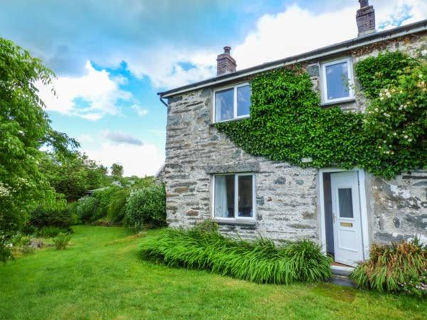 a stone house with a green ivy growing on it at Groes Newydd Bach in Llandecwyn