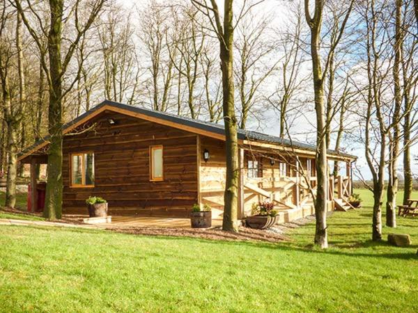 a small wooden cabin in the middle of a field at Valley View Lodge in Trelystan