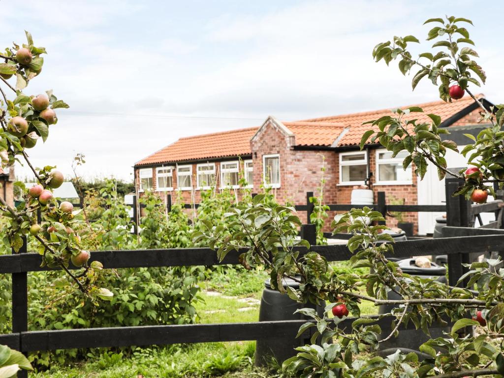 an apple orchard in front of a house at Bowler Yard Cottage in Sookholme