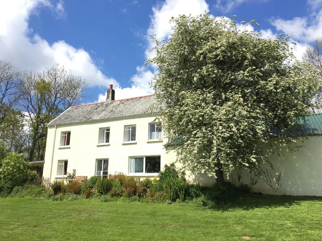 uma casa branca com uma árvore no quintal em Marsh Cottage em South Molton