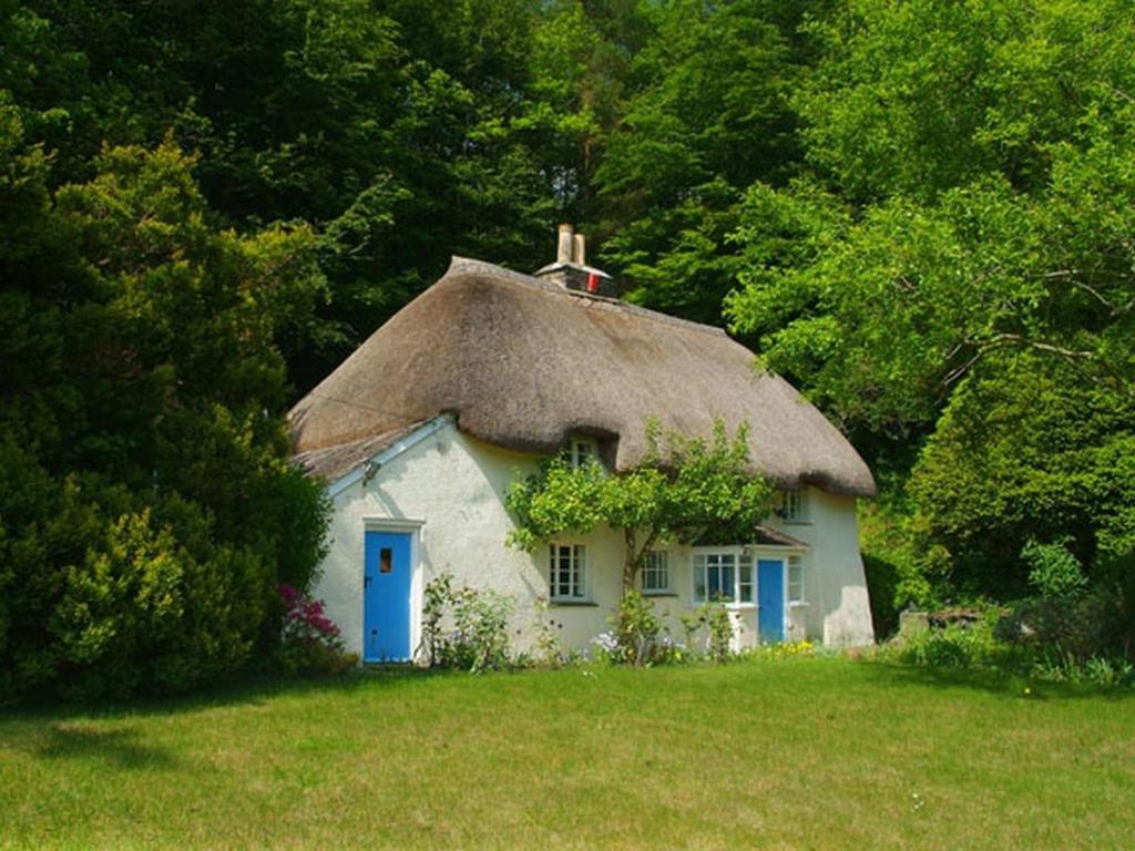 a small white house with a thatched roof at Lew Quarry Cottage in Lewdown