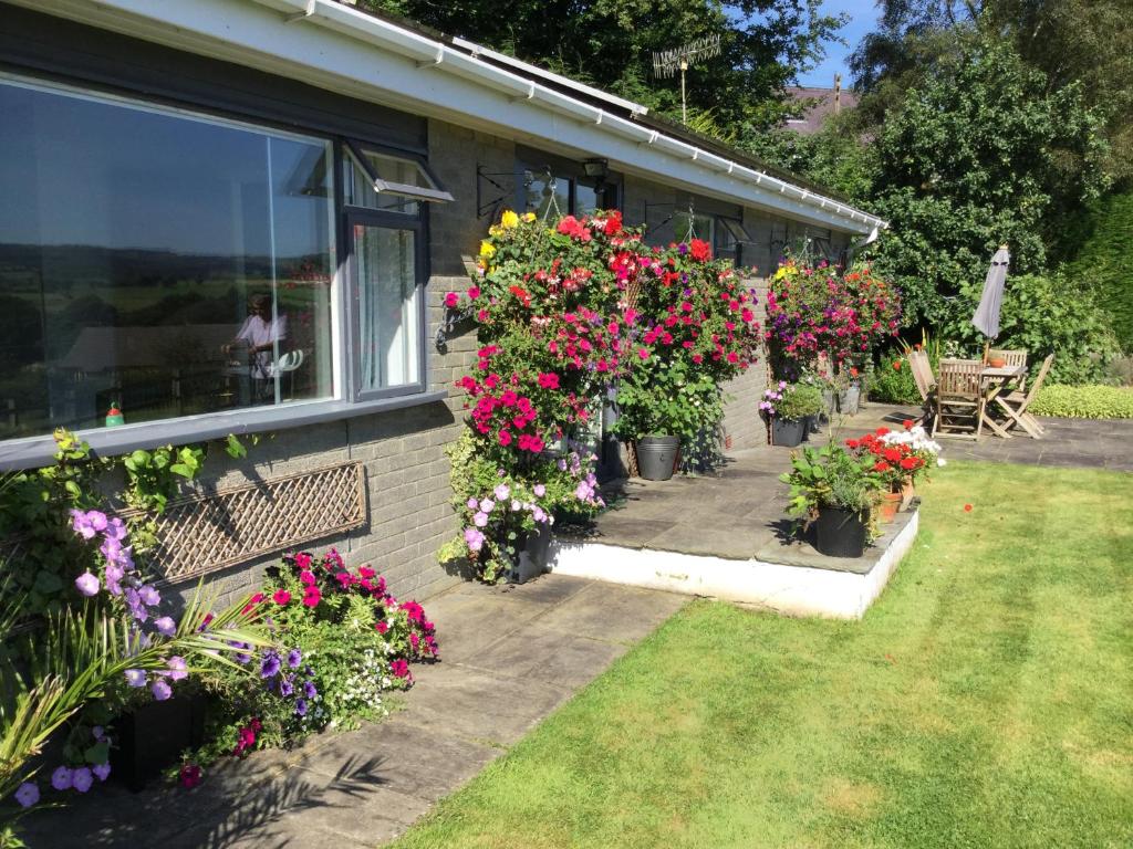 een bos bloemen in potten buiten een huis bij Dolau Meurig in Ystrad Meurig