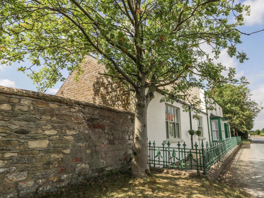 a tree in front of a stone wall at Londesborough Cottage in Scarborough