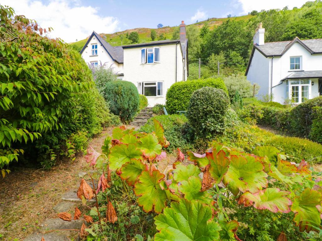 a garden in front of a white house at Swn Y Coed in Corwen