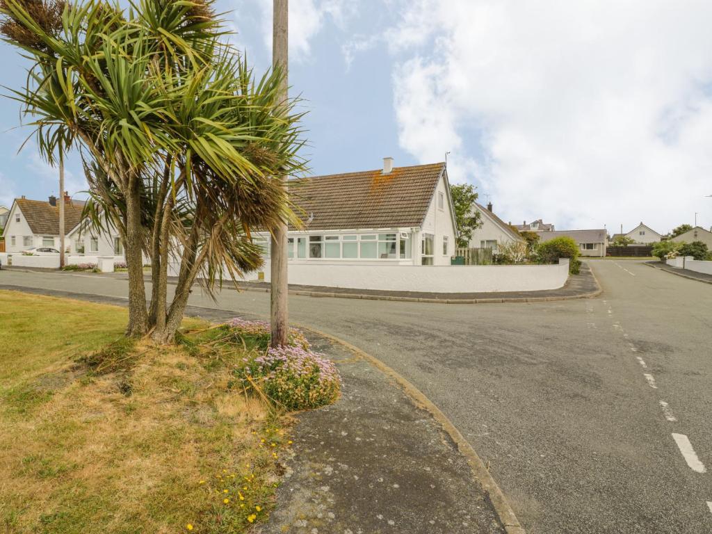 a house on the side of a road with palm trees at Ty Taid in Rhosneigr