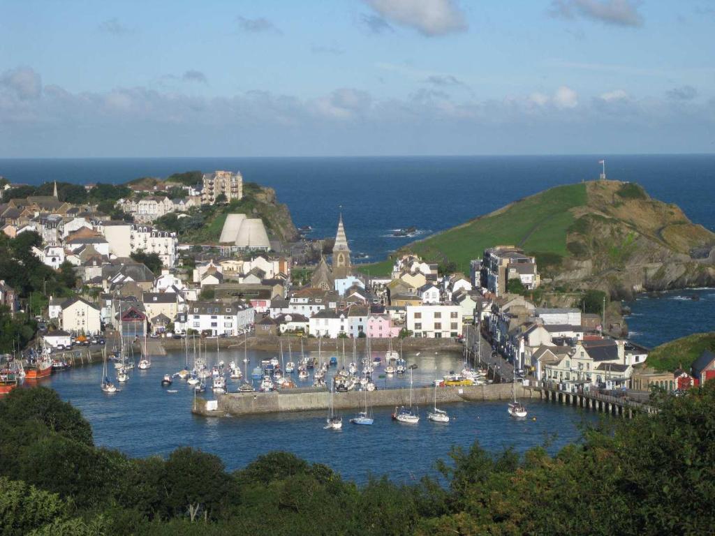 a group of boats docked in a harbor at SeaSound in Ilfracombe