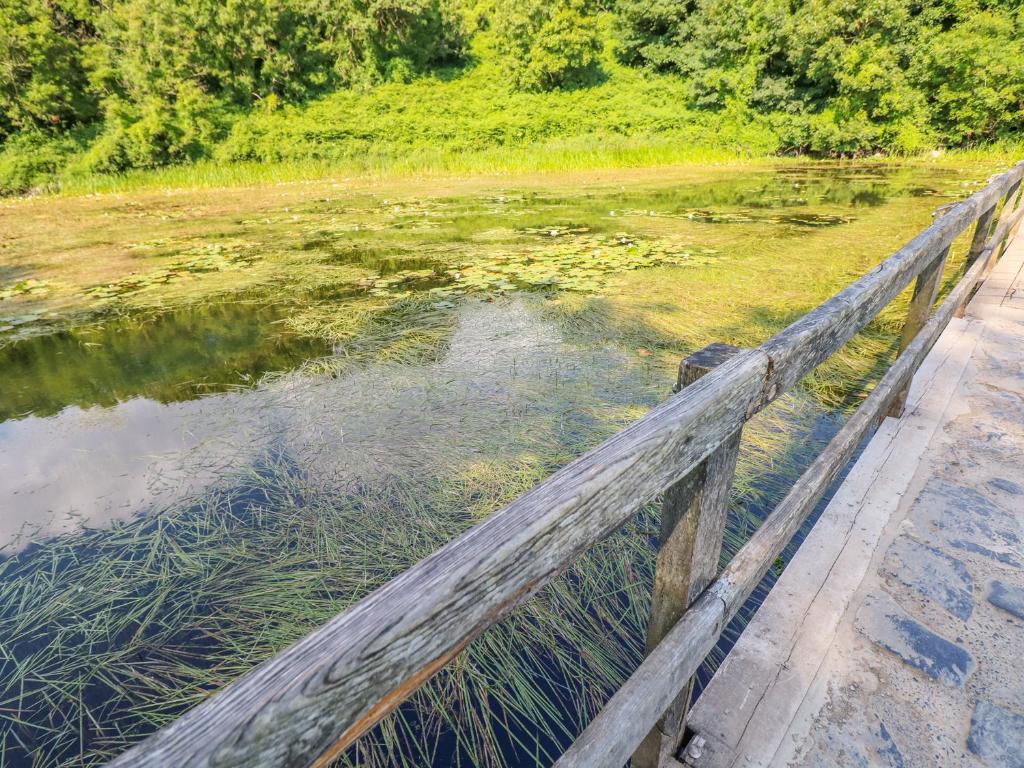 Příroda nedaleko apartmánu