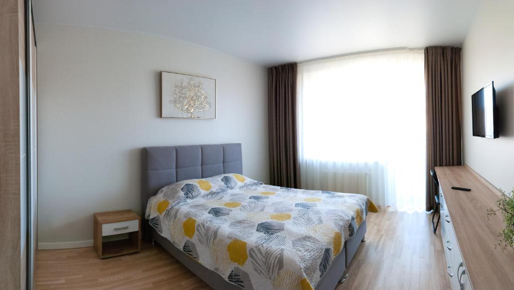 a bedroom with a bed and a window at Amazing Snow Apartments in Druskininkai