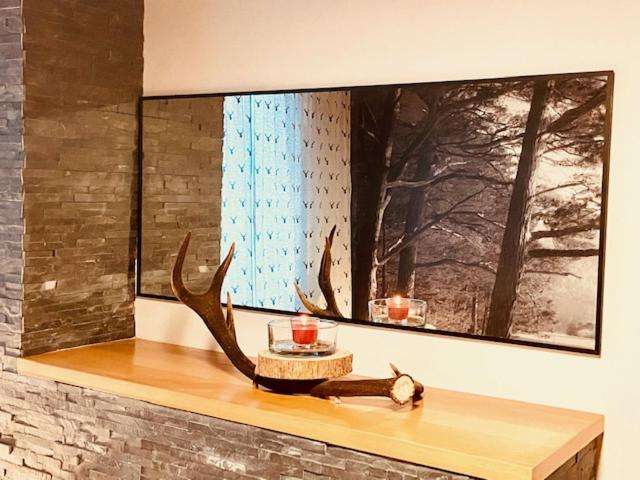 Fotografie z fotogalerie ubytování Wilderer Suiten Mariazell v destinaci Mariazell