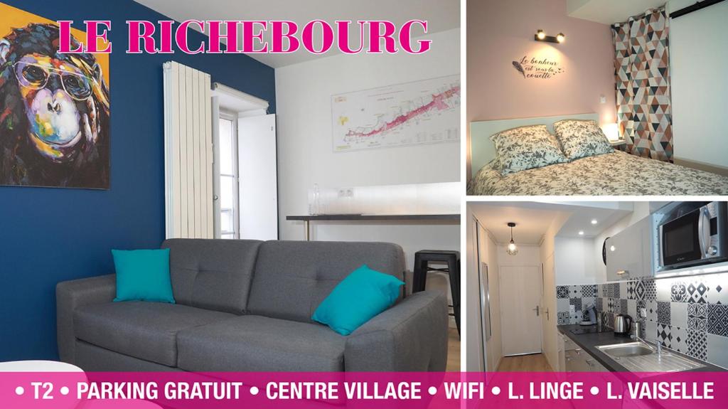 sala de estar con sofá y dormitorio en Le Richebourg - Charmant T2 Cosy, tout confort, en Gevrey-Chambertin