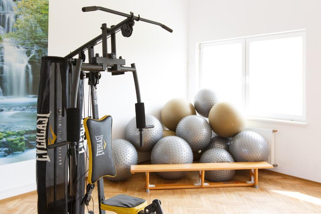 Fitness centrum a/nebo fitness zařízení v ubytování OW Fala 1