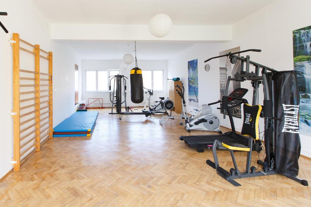Fitness centrum a/nebo fitness zařízení v ubytování OW Fala 1