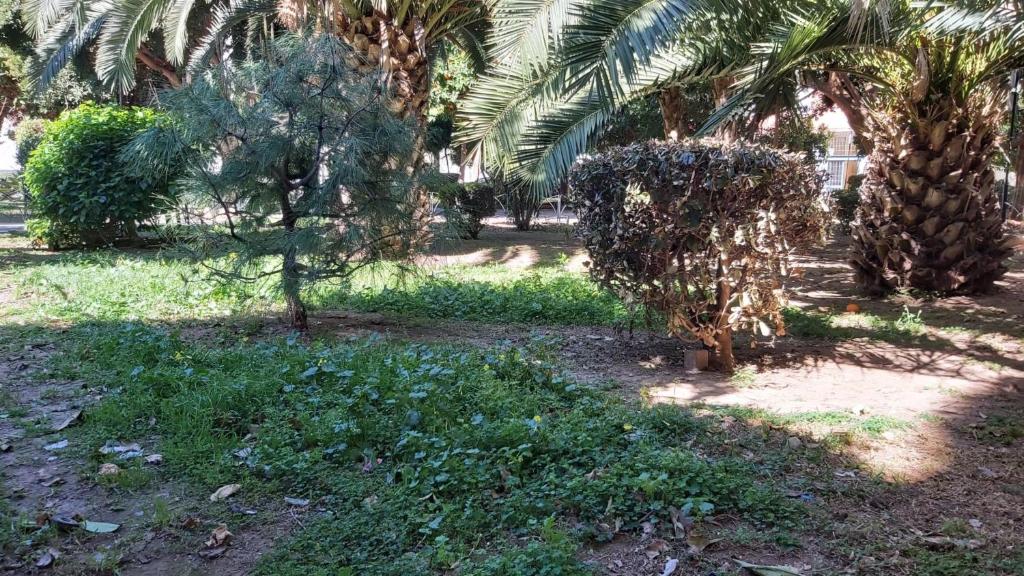 Vonkajšia záhrada v ubytovaní Del Parque Flats Urban
