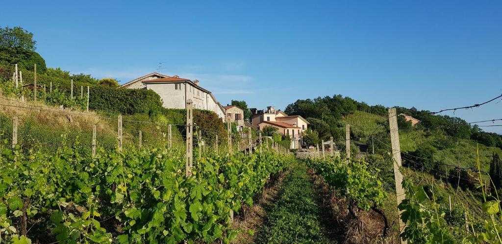 Fotografie z fotogalerie ubytování Casale In Vigna, CinqueTerreCoast v destinaci Casarza Ligure