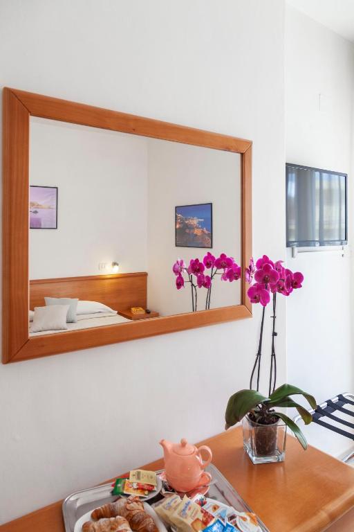 TV a/nebo společenská místnost v ubytování Hotel Viola