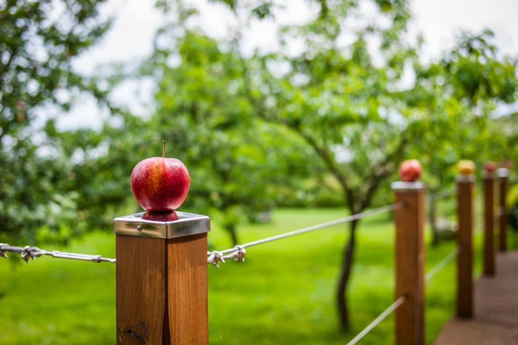 Zahrada ubytování Appleslounge