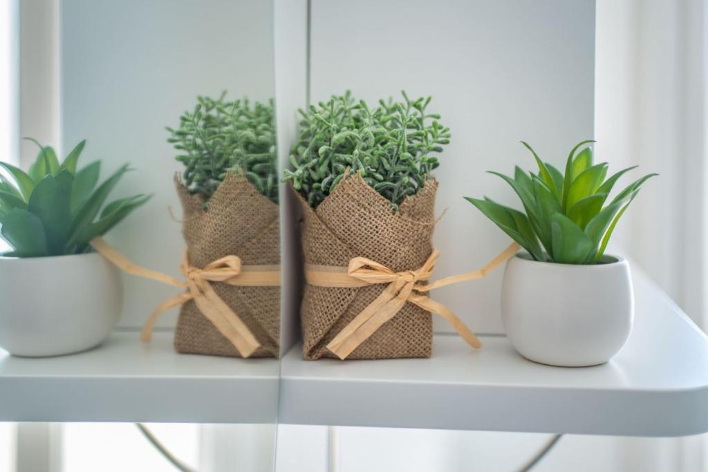 Villa La Pagaia Sorrento Coast - 5