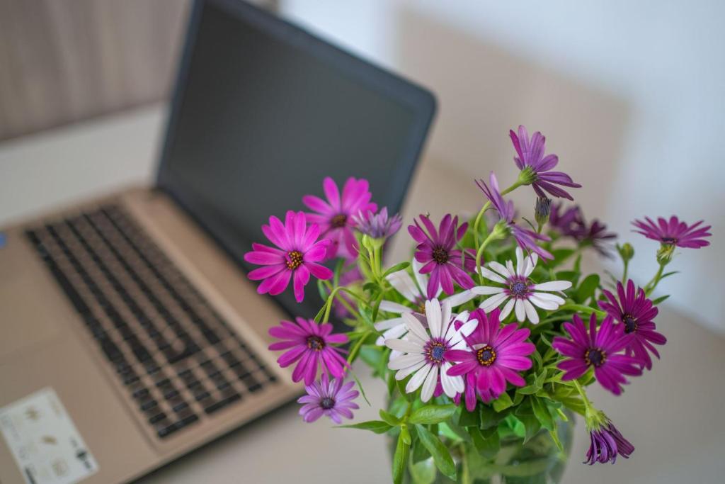 Villa La Pagaia Sorrento Coast - 10