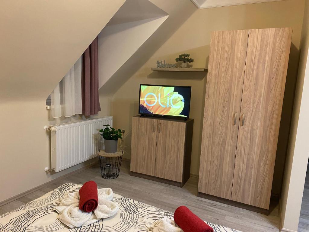 TV a/nebo společenská místnost v ubytování Oreo Apartman