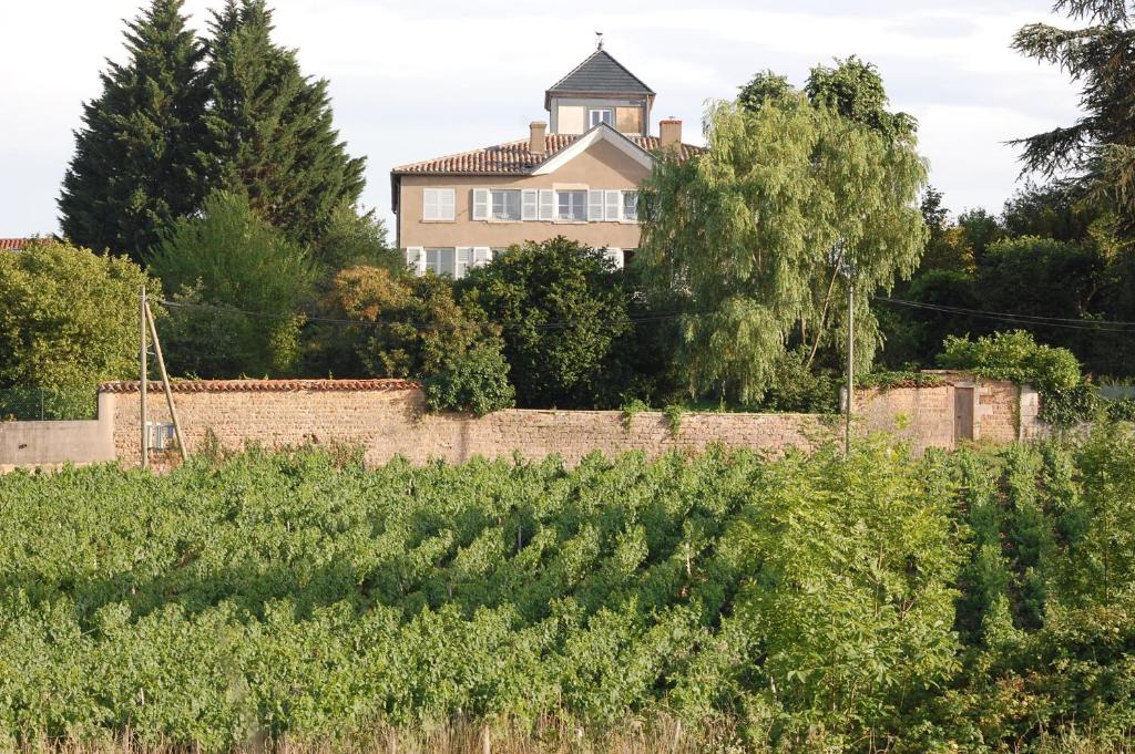 Zahrada ubytování Le Montellier