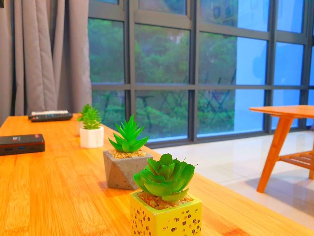 zwei Topfpflanzen auf einem Tisch in einem Raum in der Unterkunft ●SSV10●4pax●Comfort House●13minit●Airpot●CondoPool in Bayan Lepas