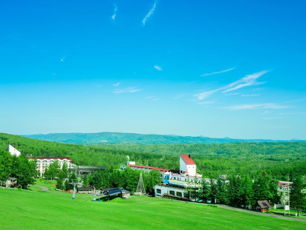 a large green field with a building and trees at Rusutsu Resort Hotel & Convention in Rusutsu