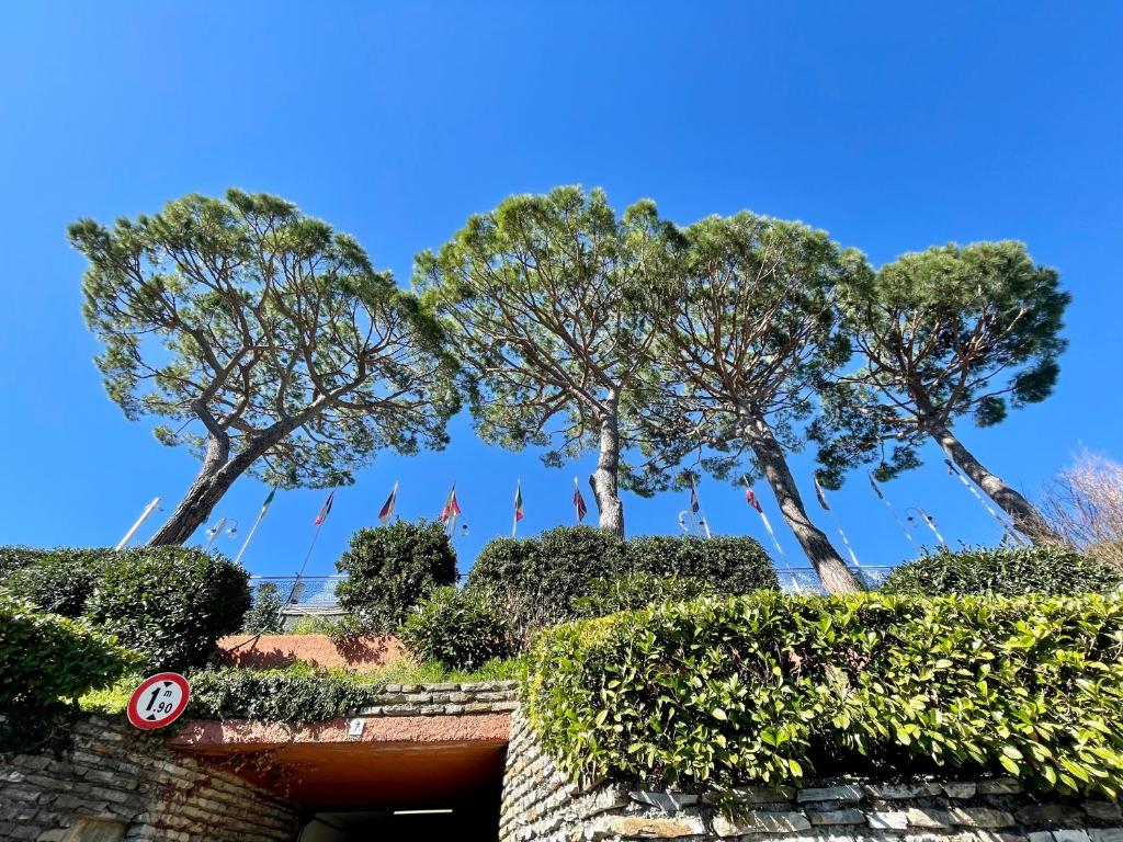 Ogród w obiekcie Portofino Est Residence