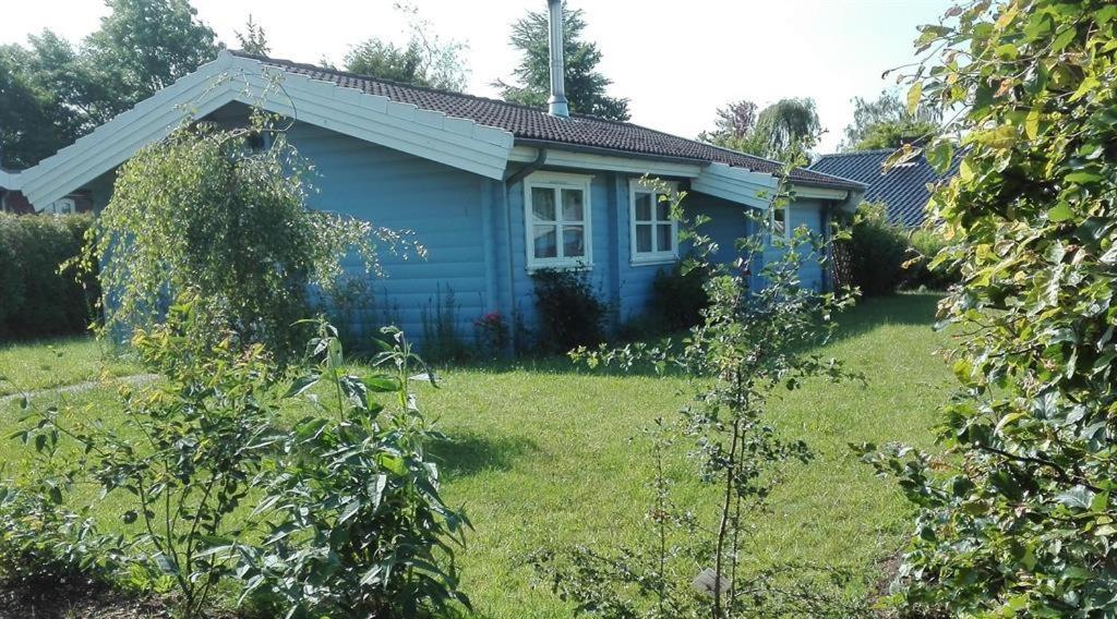 a blue house in a yard with a grass yard at Das blaue Häuschen in Westerholz