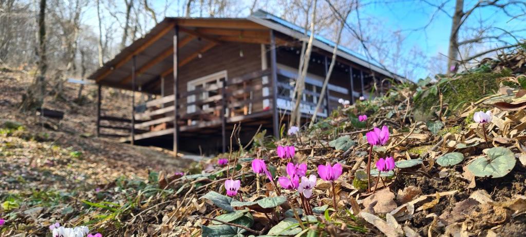 カメンノモスツキーにあるБелинскийの紫の花が咲く丘の上の家