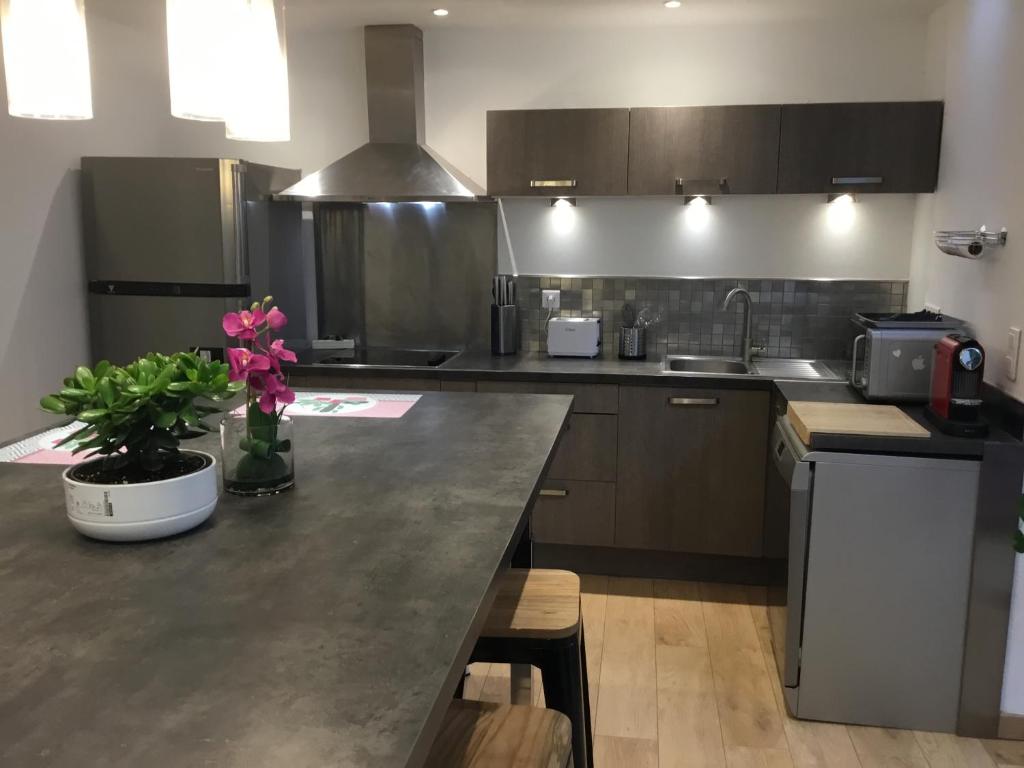 Η κουζίνα ή μικρή κουζίνα στο Duplex moderne au Palais des Papes