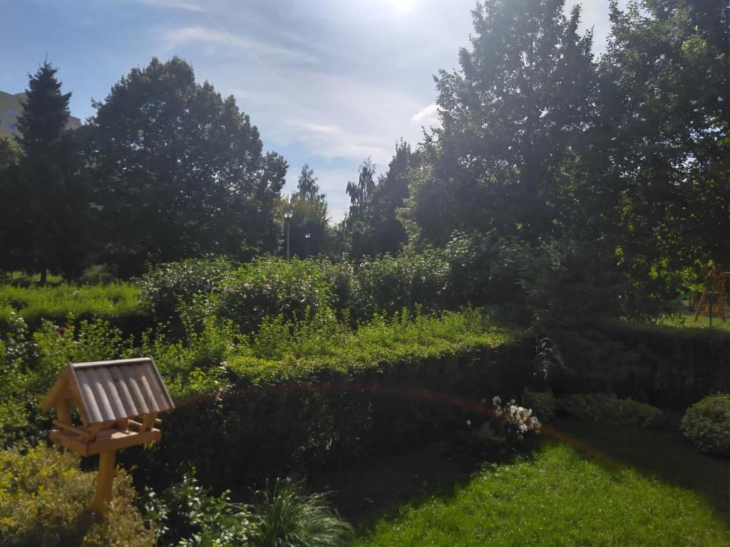 Vonkajšia záhrada v ubytovaní Apartament SunForYou 2