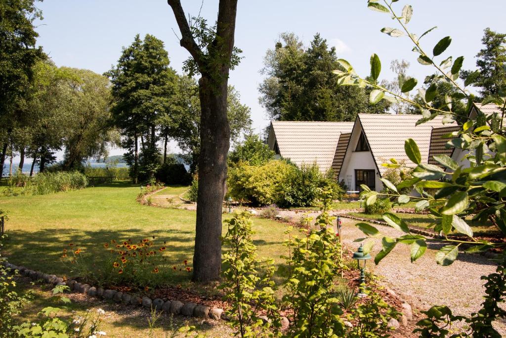 ein Haus mit einem Baum im Hof in der Unterkunft Das Haus am See Schwerin in Schwerin