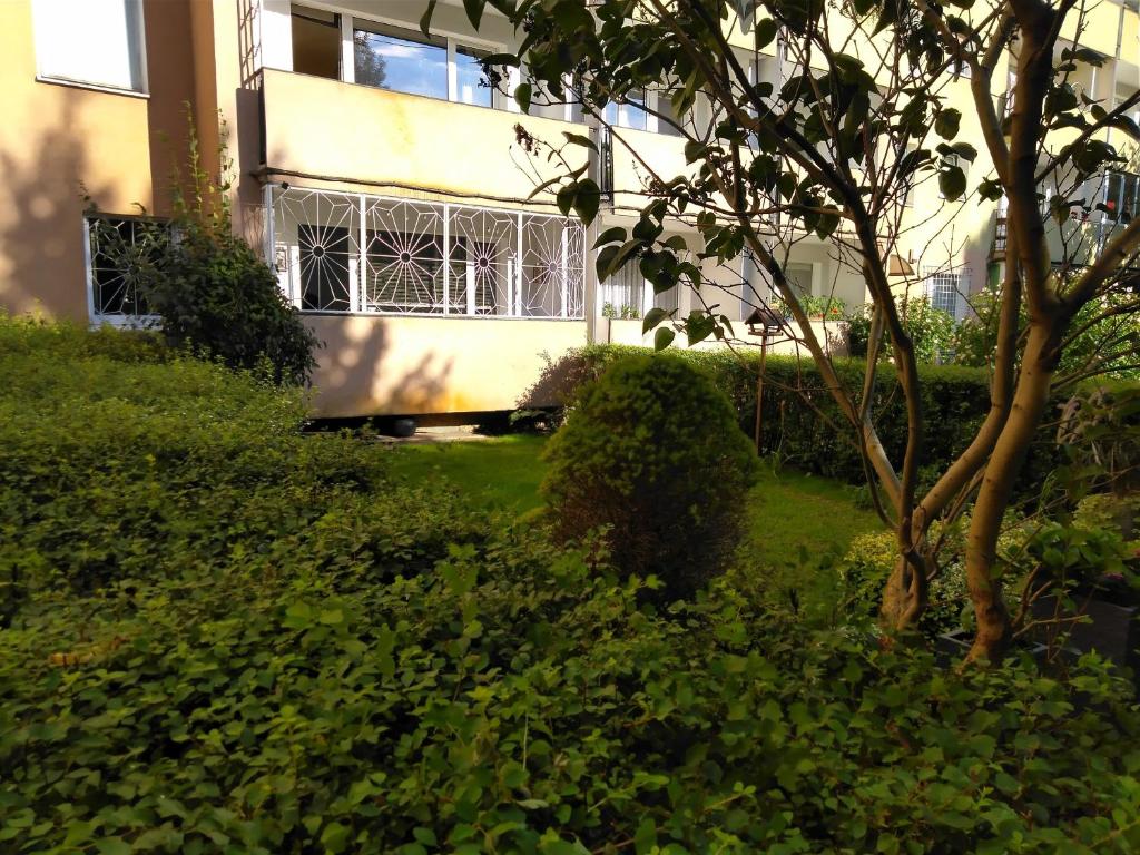 Vonkajšia záhrada v ubytovaní Apartament SunForYou 2