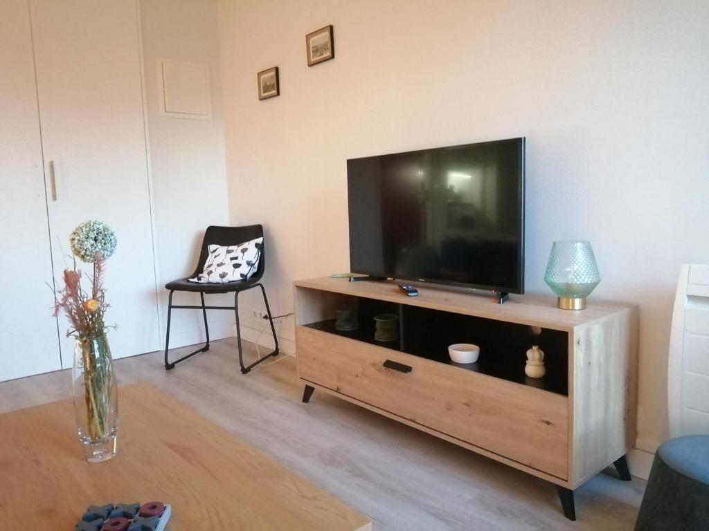sala de estar con TV de pantalla plana en un centro de entretenimiento de madera en bel appartement en résidence "bois doré" avec piscine et mini golf privés proche centre ville et Stade Rochelais, en La Rochelle
