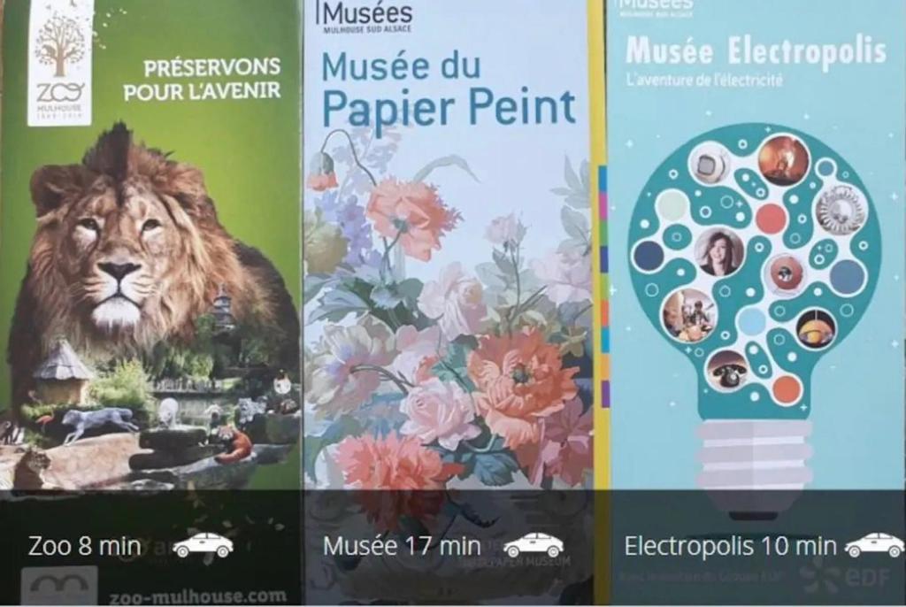 Rosa Maria Studio Centre ville Mulhouse – photo 21