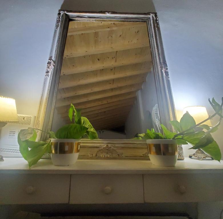 Grace’s House, Ezeiza Airport