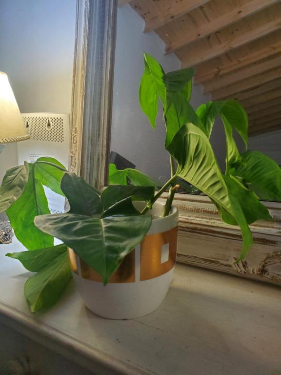 Grace’s House, Ezeiza Airport