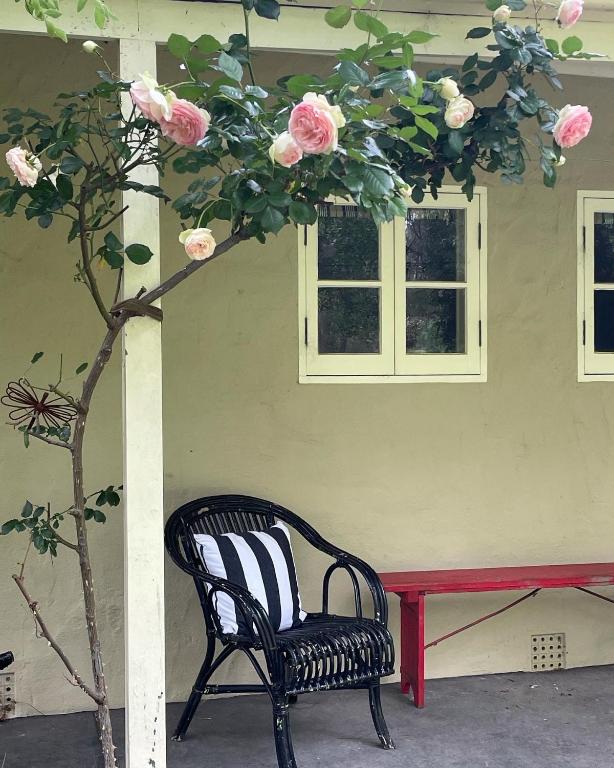 a chair sitting in front of a house with a tree at Fleetwood Cottage Bed and Breakfast in Mylor