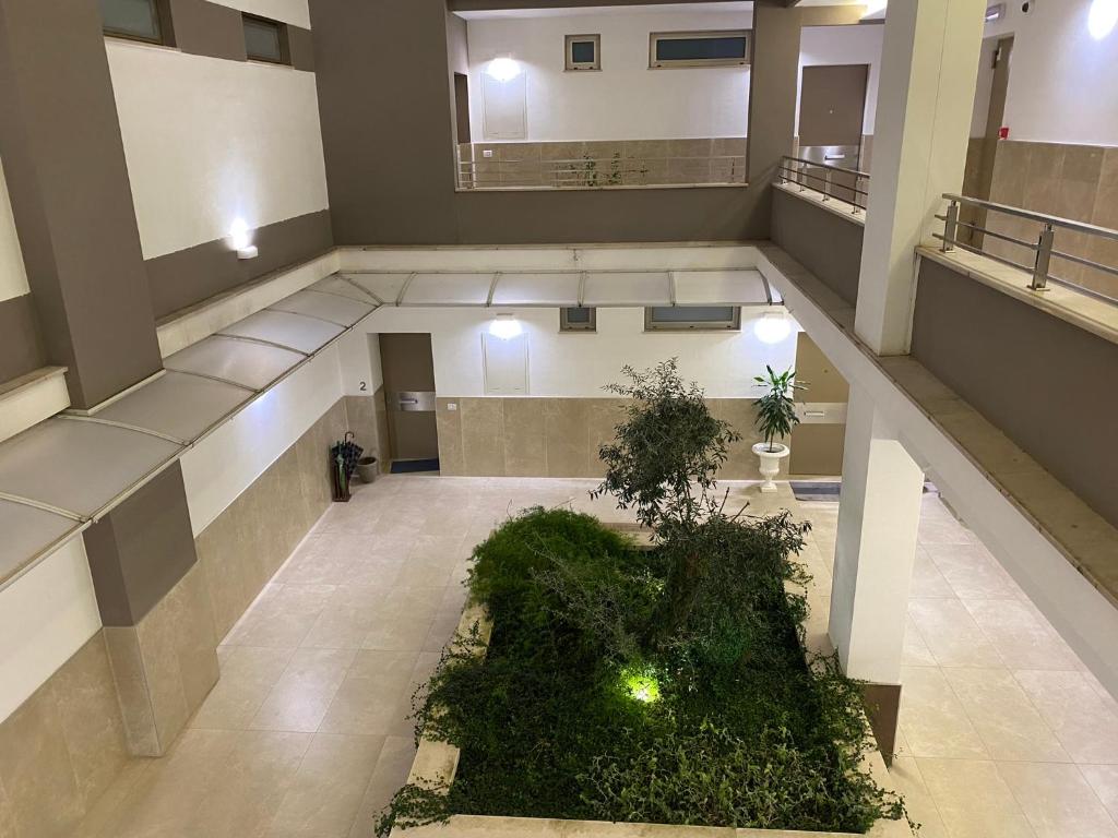an empty lobby with a plant in the middle at Urban Chic Home in Bari