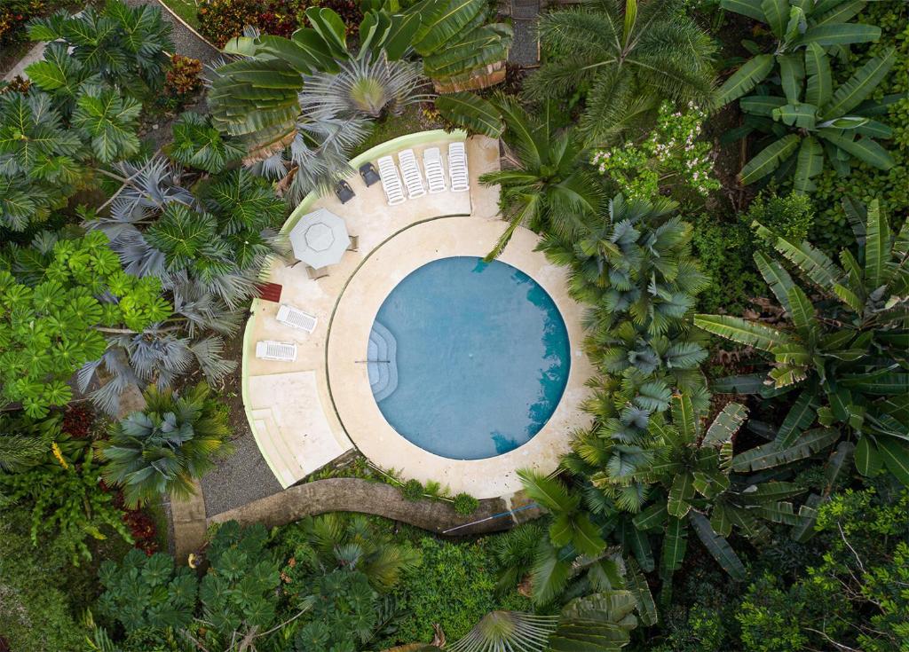 an overhead view of a swimming pool in a garden at Las Palomas Villas in Cocles