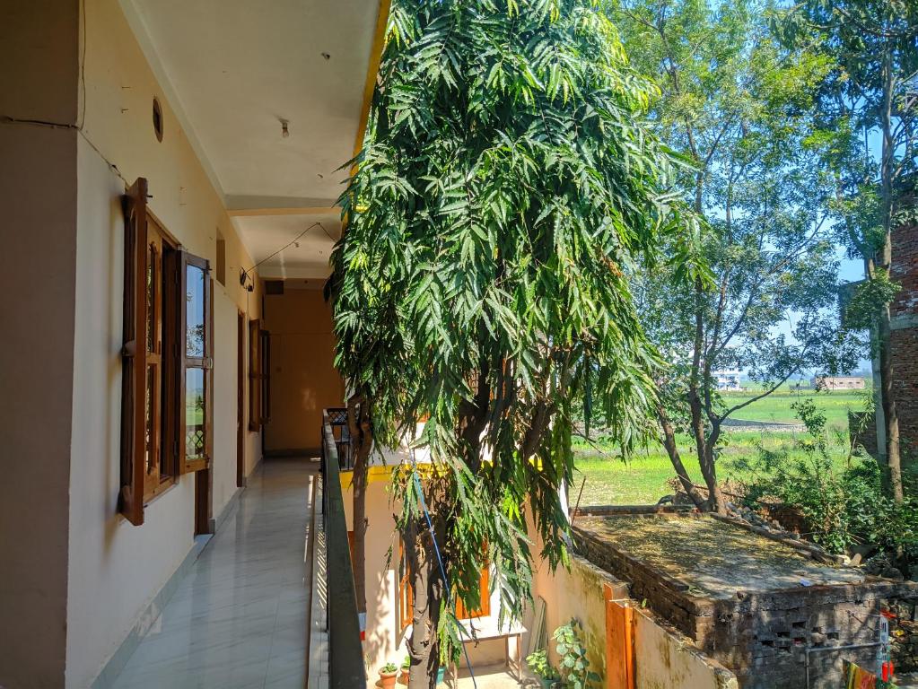 Lumbini Garden Lodge photo