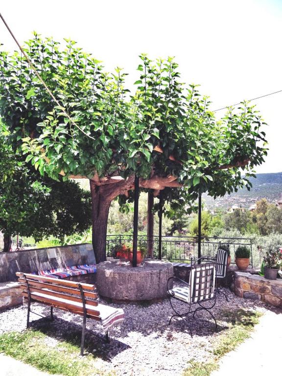 A garden outside KASTRO AGGELIKI