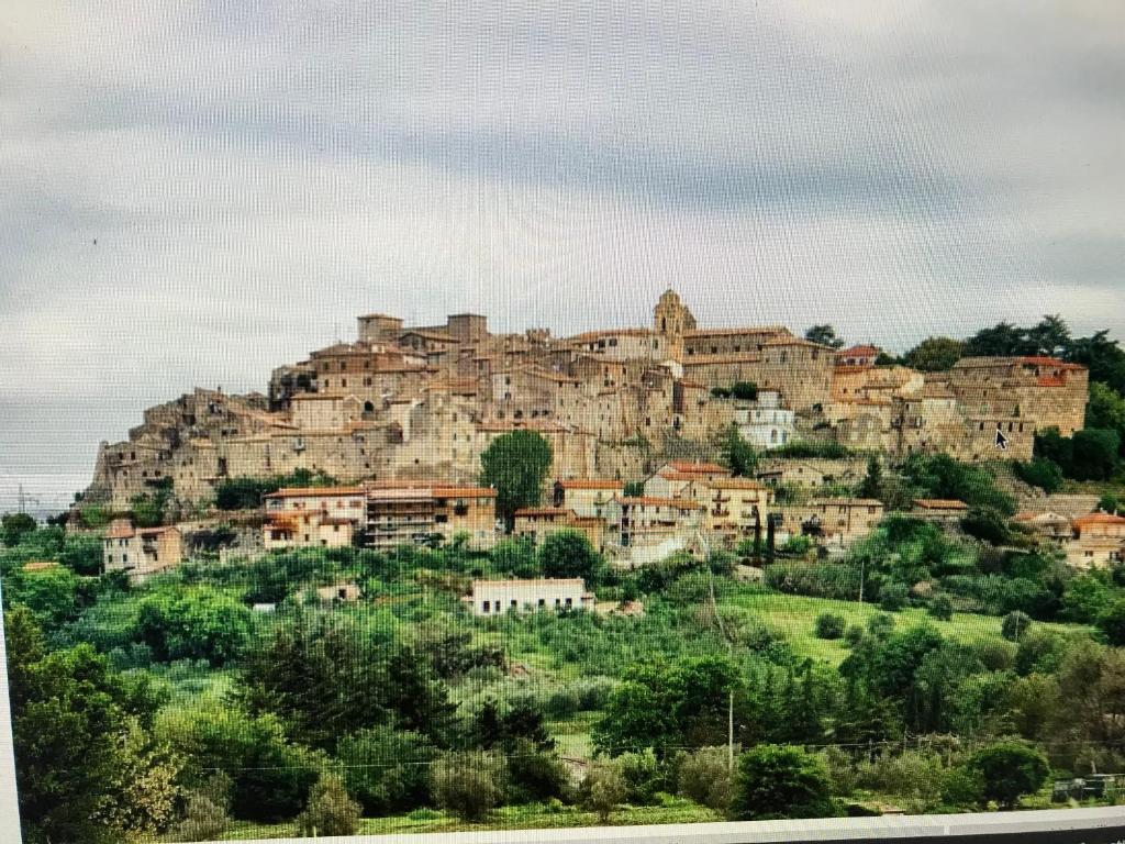 una ciudad en la cima de una colina con casas en castiglione apartament You&Me, en Castiglione in Teverina