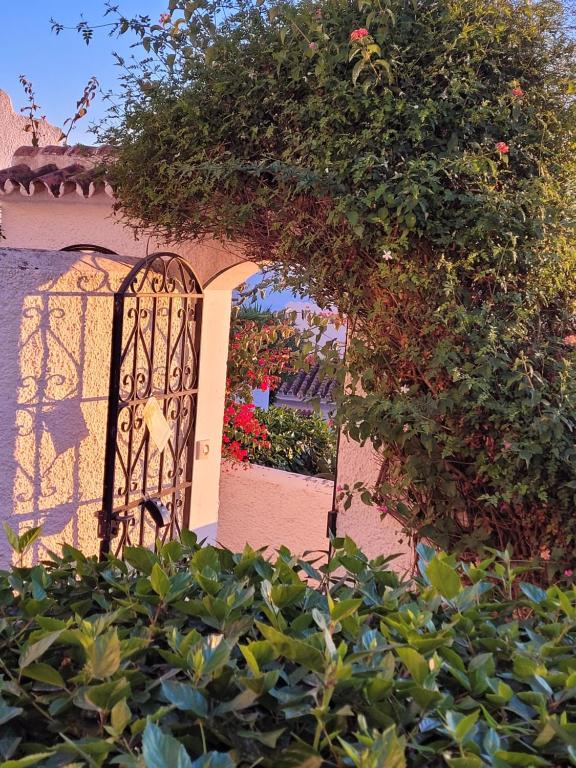 Ogród w obiekcie Apartamento de lujo Nerja