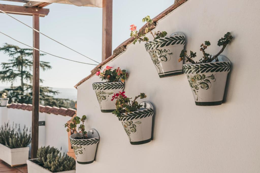 Crisol Jardines de Córdoba - Resim 22